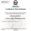 Acercar imagen: certificate 3