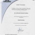 Acercar imagen: certificate 2
