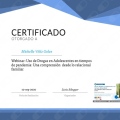 Acercar imagen: certificate 19