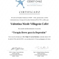 Acercar imagen: certificate 2