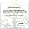 Acercar imagen: certificate 3