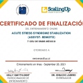Acercar imagen: certificate 1