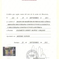 Acercar imagen: certificate 3