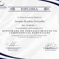 Acercar imagen: certificate 13