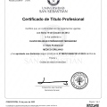 Acercar imagen: certificate 5
