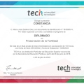 Acercar imagen: certificate 1