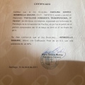 Acercar imagen: certificate 5