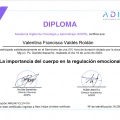 Acercar imagen: certificate 5