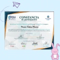 Acercar imagen: certificate 16