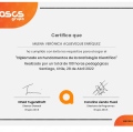 Acercar imagen: certificate 7