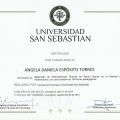 Acercar imagen: certificate 4