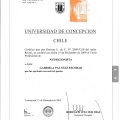 Acercar imagen: certificate 11