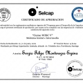 Acercar imagen: certificate 4
