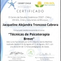 Acercar imagen: certificate 30