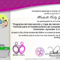 Acercar imagen: certificate 14