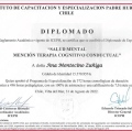 Acercar imagen: certificate 6