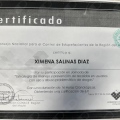 Acercar imagen: certificate 17