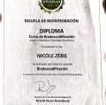 Acercar imagen: certificate 10