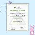 Acercar imagen: certificate 10