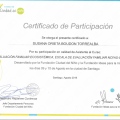 Acercar imagen: certificate 8