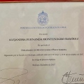 Acercar imagen: certificate 6