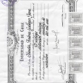 Acercar imagen: certificate 2