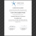 Acercar imagen: certificate 9