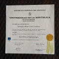 Acercar imagen: certificate 2