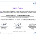 Acercar imagen: certificate 6