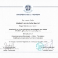 Acercar imagen: certificate 3