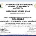 Acercar imagen: certificate 5
