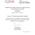 Acercar imagen: certificate 19