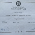 Acercar imagen: certificate 12