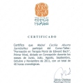 Acercar imagen: certificate 4