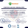 Acercar imagen: certificate 6