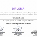 Acercar imagen: certificate 2