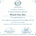 Acercar imagen: certificate 13