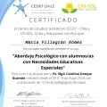 Acercar imagen: certificate 13