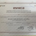 Acercar imagen: certificate 8