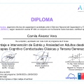 Acercar imagen: certificate 5