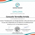 Acercar imagen: certificate 44