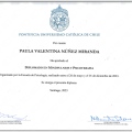 Acercar imagen: certificate 2
