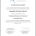 Acercar imagen: certificate 23