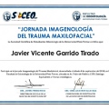 Acercar imagen: certificate 11