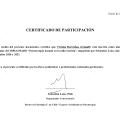 Acercar imagen: certificate 12