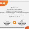 Acercar imagen: certificate 14