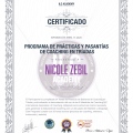 Acercar imagen: certificate 8