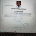 Acercar imagen: certificate 2