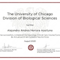 Acercar imagen: certificate 4