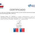 Acercar imagen: certificate 1